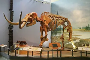 Hyde: The Hyde Park Mastodon