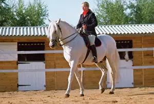 Dressage: Iberian Peninsular Horse - dressage display