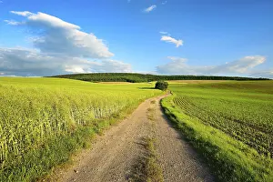Path: iblavg12559698.jpg