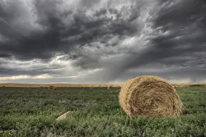 Storms: ibliqx11430599.jpg