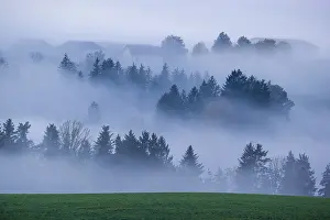 Misty: iblprw12437097.jpg