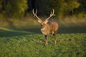 Sunrisetime: iblprw12527218.jpg