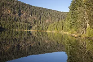 Reflections: iblprw12539008.jpg