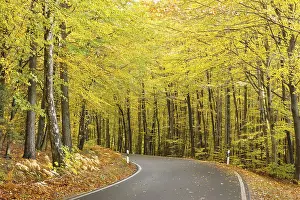 Roads: ibxpur12893032.jpg