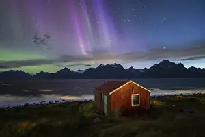 Home: ibxroh12263475.jpg