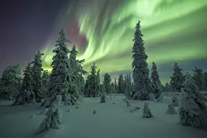 Finnish: ibxroh13420684.jpg