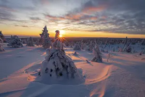 Finnish: ibxroh13420733.jpg