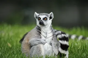 Relaxing: ibxshe12250968.jpg