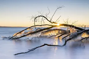 Quiet: ibxsta11501385.jpg