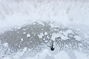 Kamerven: Ice circles, snow, and grass, The Netherlands, Noord-Brabant
