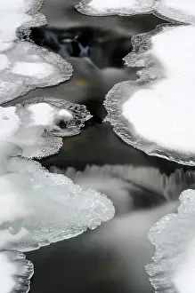 Streaming: Ice cover along a stream