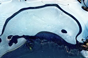 Waterlogged: Ice Dolphin - A frozen waterlogged field creates