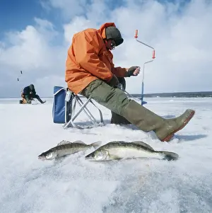 Anglers: ICE FISHING - with caught Perch