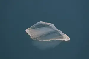 150518: Ice floe at Lilliehoeoek-Fjord at Krossfjord