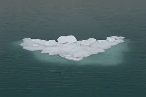 Floes: Ice floe in Magdalenefjord - Scalbard, Norway