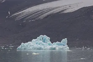 Monacobreen: Ice floe at Monacobreen - Svalbard - Norway