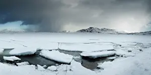 Plans: Ice floe on the shore, Vestvagoya, Lofoten, Norway