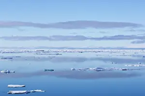 Broken: Ice flows, Greenland Sea, East Coast of