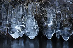 Formed: Ice, formed at edge of lake, Maryland