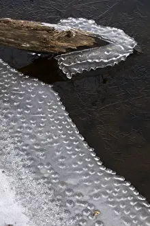 Formed: Ice, formed at edge of lake, Maryland