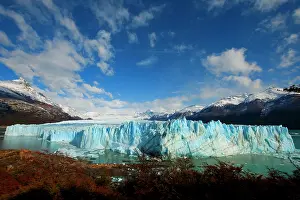 Pumilio: Ice Glacier