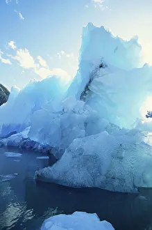 Weathered: Ice near LeConte Glacier