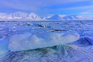 Sculptures: Ice sculptures - stranded ice sculptures and ice floes on th