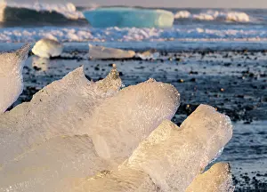 Cemetery: Iceberg on black volcanic beach. North Atlantic
