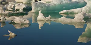 Broken: Iceberg formations broken off from the Breidamerkurjokull