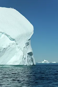 Davis: Iceberg gulls on iceberg drifting in Arctic ocean Summer