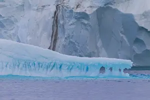 Shelf: Iceberg - Ilulissat Icefjord - Greenland