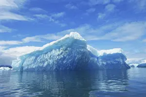 Derived: Iceberg in LeConte Bay, Alaska