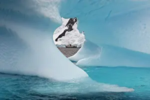 Lemaire: Iceberg in the Lemaire Channel along the coast