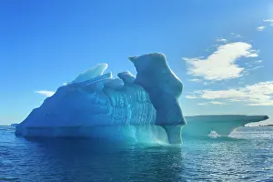 Davis: Iceberg melting Arctic ocean Summer