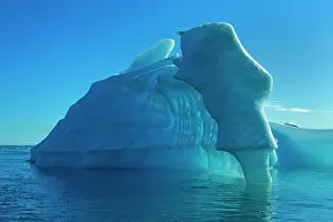 Davis: Iceberg melting Arctic ocean Summer
