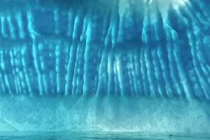 Davis: Iceberg detail of melting iceberg Arctic ocean Summer