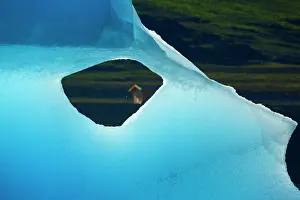 Davis: Iceberg detail of melting iceberg Arctic ocean Summer