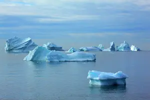 Drifting: Iceberg melting iceberg drifting Arctic ocean Summer