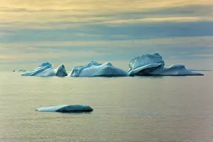 Drifting: Iceberg melting iceberg drifting Arctic ocean Summer