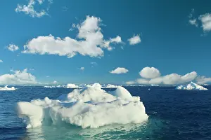Drifting: Iceberg melting iceberg drifting Arctic ocean Summer