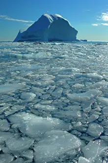 Drifting: Iceberg melting iceberg and sea ice drifting