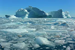 Drifting: Iceberg melting iceberg and sea ice drifting