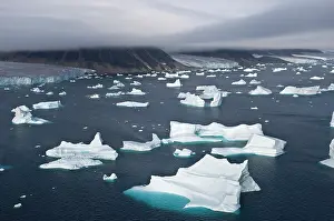 Tough: Icebergs, Cape York, Greenland