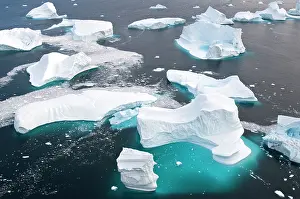 Conserve: Icebergs, Cape York, Greenland