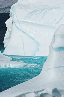 Conserve: Icebergs, Cape York, Greenland