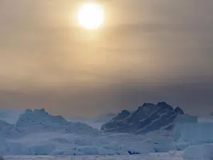 Uummannaq: Icebergs frozen into the sea ice of the Uummannaq
