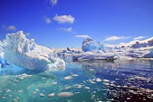 Florist: Icebergs and ice flows along the Antarctic