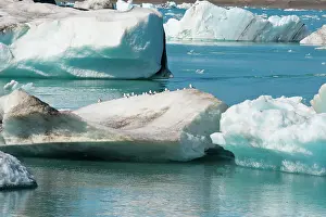Fjallsarlon: Icebergs in Jokulsarlon Glacial Lagoon, Iceland