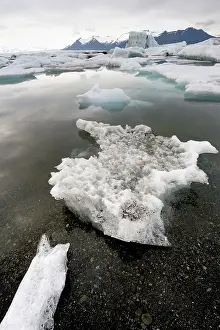 Vatnajokull: Icebergs in the Jokulsarlon glacier lagoon laying