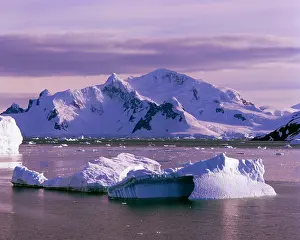 Graham: Icebergs off Graham Land Antarctic Peninsula